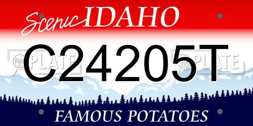 C24205T Idaho License Plate