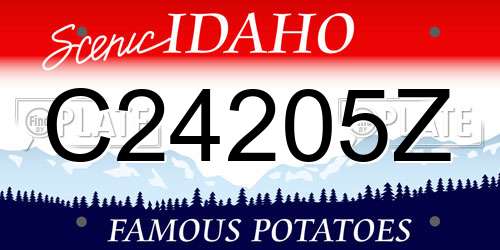 C24205Z Idaho License Plate