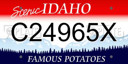 C24965X Idaho License Plate