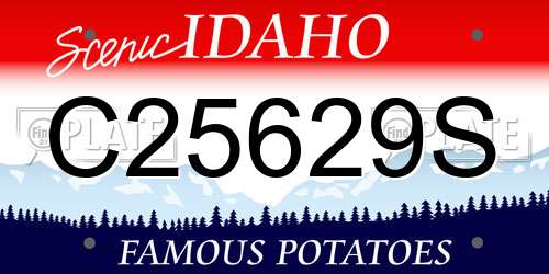 C25629S Idaho License Plate