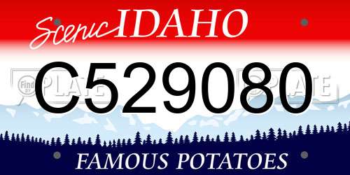 C529080 Idaho License Plate