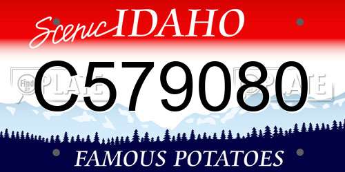 C579080 Idaho License Plate