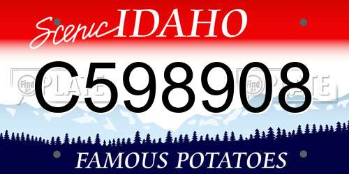 C598908 Idaho License Plate