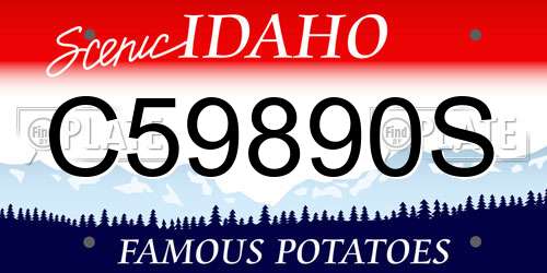 C59890S Idaho License Plate