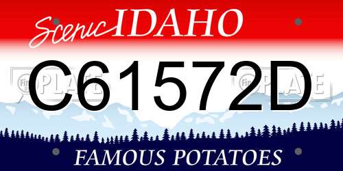 C61572D Idaho License Plate