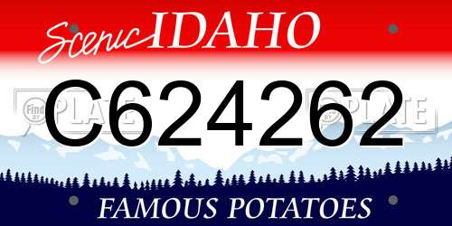 C624262 Idaho License Plate