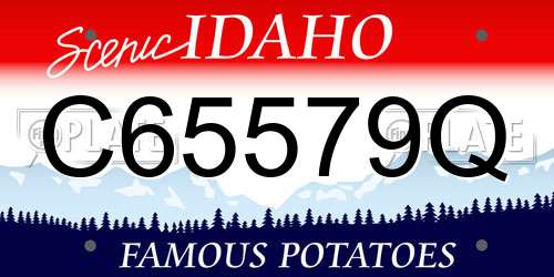 C65579Q Idaho License Plate