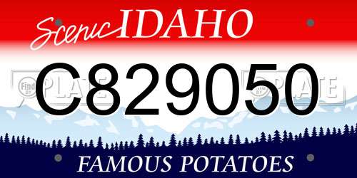 C829050 Idaho License Plate