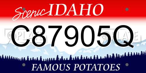 C87905Q Idaho License Plate
