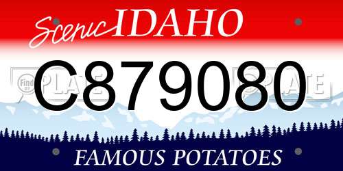 C879080 Idaho License Plate