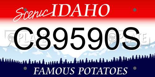C89590S Idaho License Plate