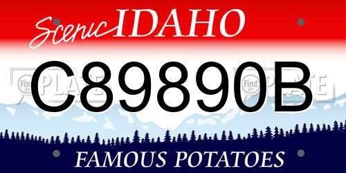 C89890B Idaho License Plate