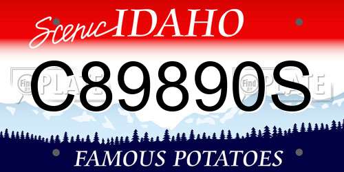C89890S Idaho License Plate