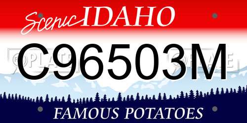 C96503M Idaho License Plate