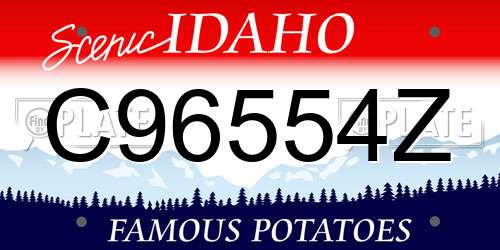 C96554Z Idaho License Plate