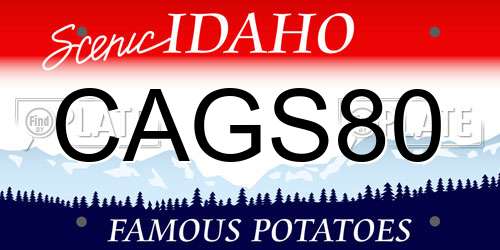 CAGS80 Idaho License Plate