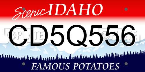 CD5Q556 Idaho License Plate