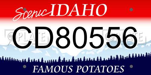 CD80556 Idaho License Plate