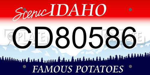 CD80586 Idaho License Plate