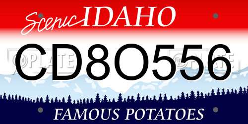 CD8O556 Idaho License Plate