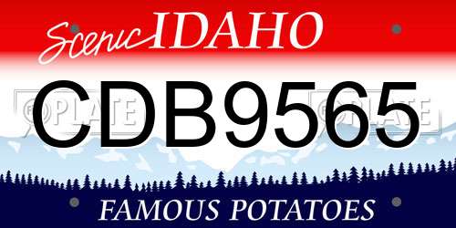 CDB9565 Idaho License Plate
