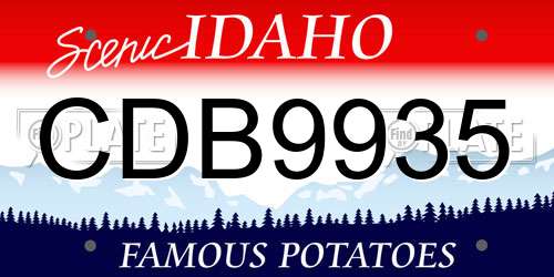 CDB9935 Idaho License Plate