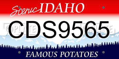 CDS9565 Idaho License Plate