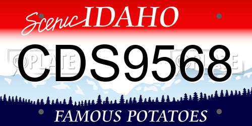 CDS9568 Idaho License Plate