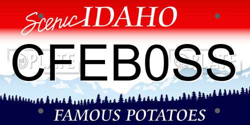 CFEB0SS Idaho License Plate