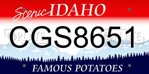 CGS8651 Idaho License Plate