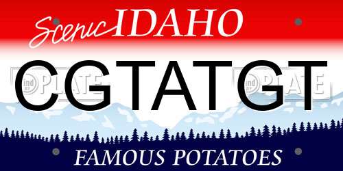 CGTATGT Idaho License Plate