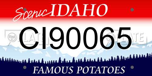 CI90065 Idaho License Plate