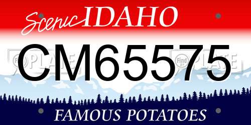 CM65575 Idaho License Plate
