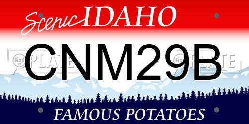 CNM29B Idaho License Plate