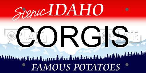 CORGIS Idaho License Plate