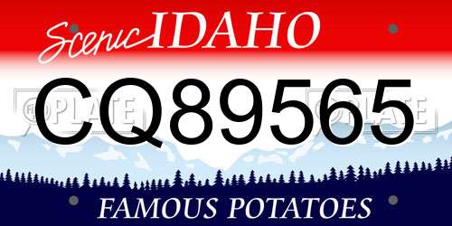 CQ89565 Idaho License Plate