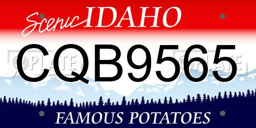 CQB9565 Idaho License Plate
