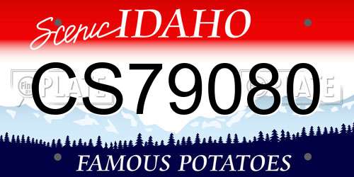 CS79080 Idaho License Plate