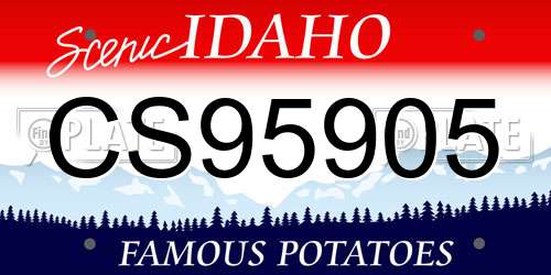 CS95905 Idaho License Plate