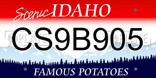 CS9B905 Idaho License Plate