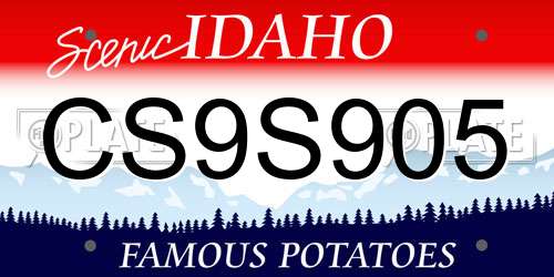 CS9S905 Idaho License Plate
