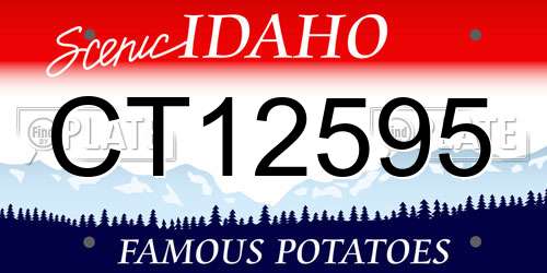 CT12595 Idaho License Plate