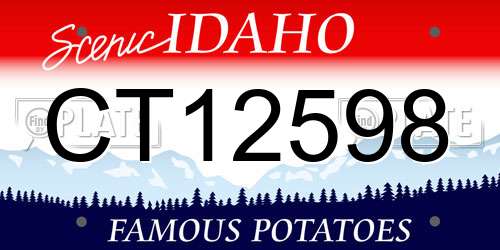 CT12598 Idaho License Plate