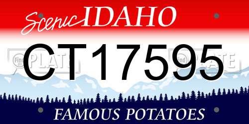 CT17595 Idaho License Plate
