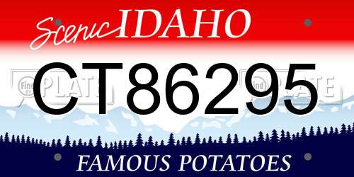CT86295 Idaho License Plate