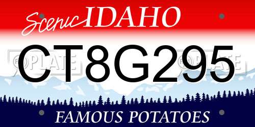 CT8G295 Idaho License Plate