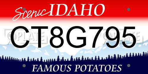 CT8G795 Idaho License Plate