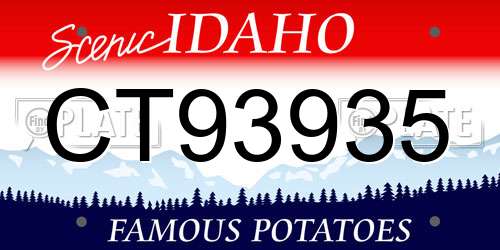 CT93935 Idaho License Plate