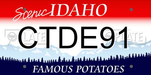 CTDE91 Idaho License Plate