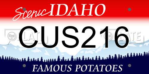 CUS216 Idaho License Plate